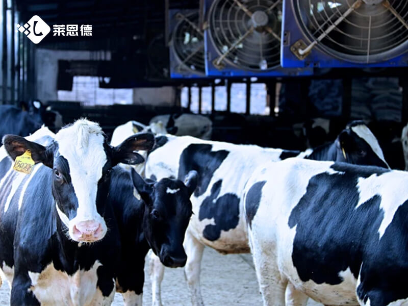 2026年6月雞蛋藥物殘留檢測儀熱門品牌實測推薦